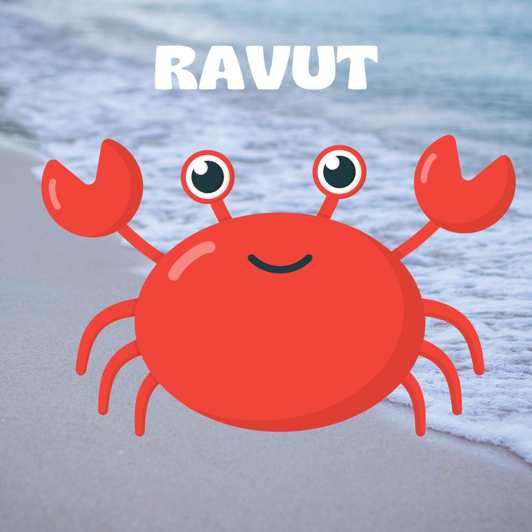Päiväkerho Ravut Rapu kävelee rannalla